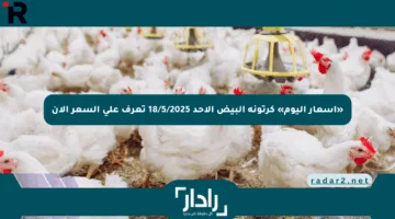 «أسعار اليوم» كرتونة البيض الأحد 18/5/2025 تعرف على السعر الآن